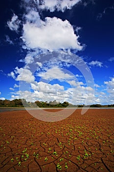 Dry summer with blue sky and white clouds. Dryness lake in the hot summer. CanoNegro, Costa Rica. Mud lake with little green