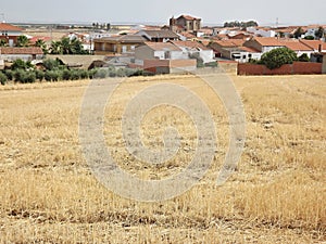 Dry summer landscape in the Extremadura - Spain photo