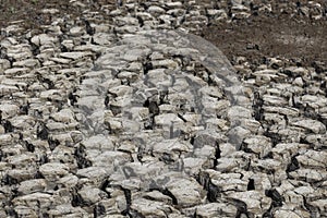 Dry surface of the earth texture cracked. soil background ground mix with sea water, it is land in dry season. Global warming,