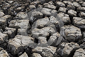Dry surface of the earth texture cracked. soil background ground mix with sea water, it is land in dry season. Global warming,