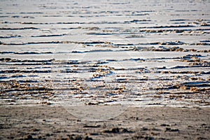 Dry surface of a salt lake covered with salt