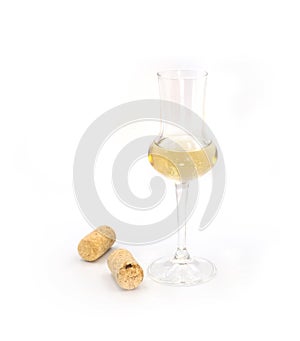 Dry sweet white wine in a small tasting glass isolated on white background. For winery, bar or restaurant degustation event ads,