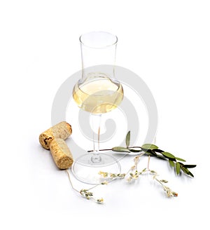 Dry sweet white wine in a small tasting glass isolated on white background. For winery, bar or restaurant degustation event ads,