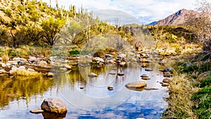 The almost dry Sycamore Creek in the McDowell Mountain Range in Northern Arizona