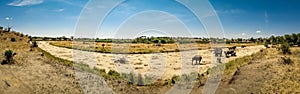 Dry Tarangire river bed panorama. National Park safari, Tanzania