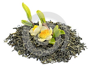 Dry tea isolated. Black, leaves. photo