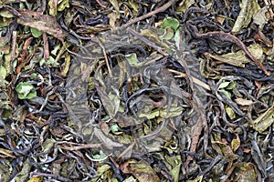 dry tea leaves for pattern and background