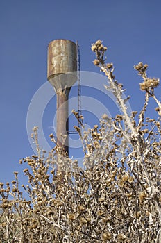 Dry thistle on the background of an old water tower and blue sky