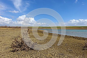 dry thorn rubble from the previous year, dry thorn, the arrival of spring - the awakening of nature