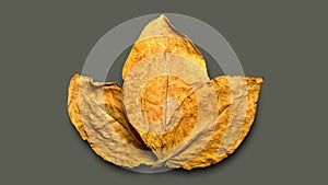 Dry tobacco leafs