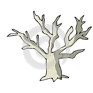 Dry tree