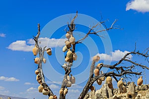 Dry Tree with the Authentic Clay pots near the town GÃÂ¶reme in Cappadocia