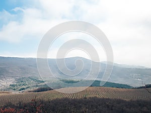 A dry tree on an autumn landscape in a mountainous area.