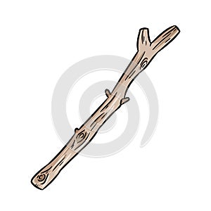 Dry tree branch. Boho image of stick isolated on white background