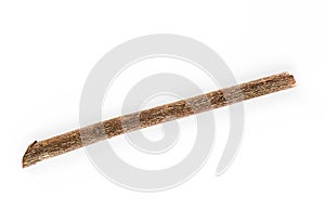 Dry tree branch isolated on white background