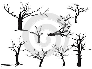 Dry Tree Dead Drought Fall Autumn Black Silhouette
