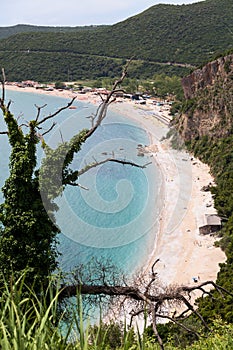 Dry tree on mountain with Jaz Beach and Adriatic sea on background. Famous resort on Budva suburbs, Montenegro, Balkans, Europe