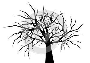 Dry tree silhouette on white background vector.