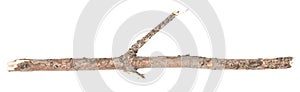 Dry tree twigs branches isolated on white background. pieces of broken wood plank on white background. close-up