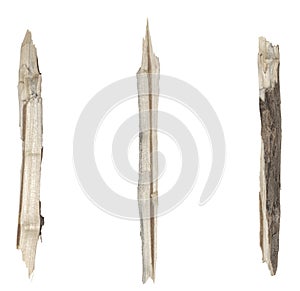 Dry tree twigs branches isolated on white background. set pieces of broken wood plank.  collage small wood chips close-up