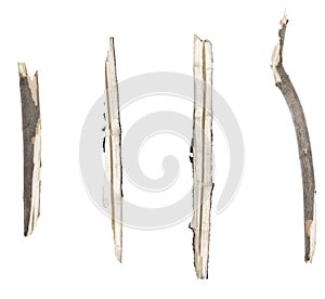 Dry tree twigs branches isolated on white background. set pieces of broken wood plank.  collage small wood chips close-up