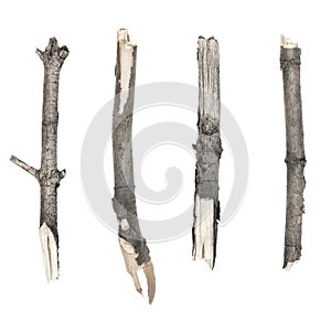 Dry tree twigs branches isolated on white background. set pieces of broken wood plank.  collage small wood chips close-up