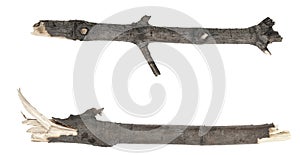 Dry tree twigs branches isolated on white background. set pieces of broken wood plank.  collage small wood chips close-up