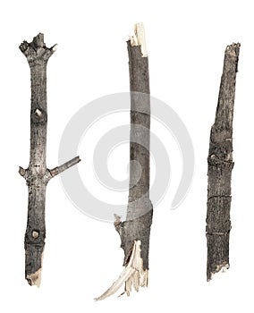 Dry tree twigs branches isolated on white background. set pieces of broken wood plank.  collage small wood chips close-up