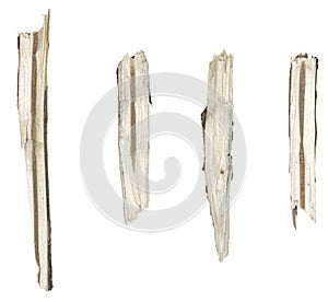 Dry tree twigs branches isolated on white background. set pieces of broken wood plank.  collage small wood chips close-up