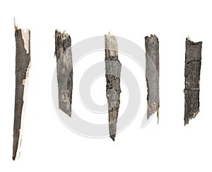 Dry tree twigs branches isolated on white background. set pieces of broken wood plank.  collage small wood chips close-up