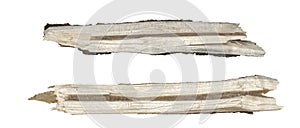 Dry tree twigs branches isolated on white background. set pieces of broken wood plank.  collage small wood chips close-up