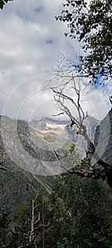 Dry trees in mountain with clouds view.