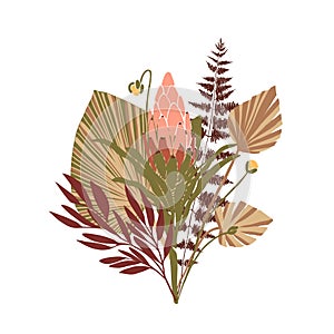 Dry tropical fan palm leaves, red branches, exotic protea flower boho hand drawn vector bouquet