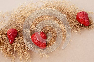 Dry twig of reeds and red strawberries on the beige paper background, .