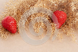 Dry twig of reeds and red strawberries on the beige paper background, isolated.