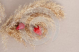 Dry twig of reeds and red strawberries on the beige paper background, isolated.