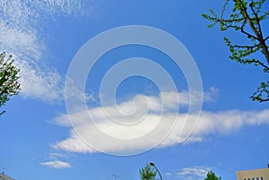Dry twigs and blue sky
