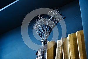 Dry twigs in a glass bottle are located on a bookshelf. Close-up