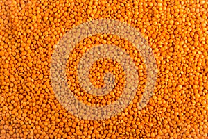 Dry unbroken orange lentils texture