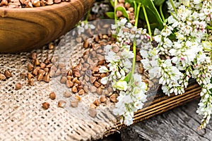 Dry uncooked buckwheat in wooden plate. Food for raw food and vegans. Ingredient for healthy food for weight loss