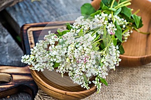 Dry uncooked buckwheat in wooden plate. Food for raw food and vegans. Ingredient for healthy food for weight loss