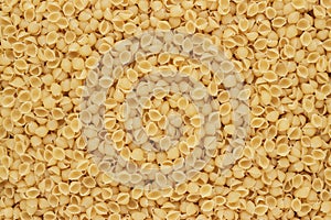 Dry uncooked conchiglie pasta texture background