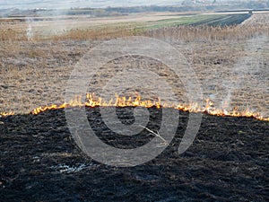 Dry vegetation on fire, negligent people burning the vegetation at springtime