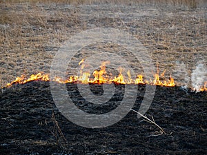 Dry vegetation on fire, negligent people burning the vegetation at springtime