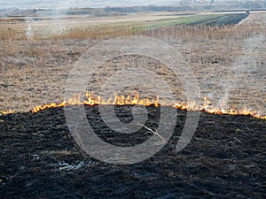 Dry vegetation on fire, negligent people burning the vegetation at springtime photo