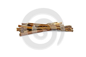Dry vine tree branches isolated