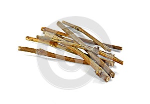 Dry vine tree branches isolated