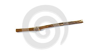 Dry vine tree branches isolated