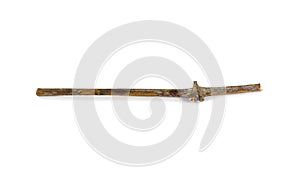 Dry vine tree branches isolated
