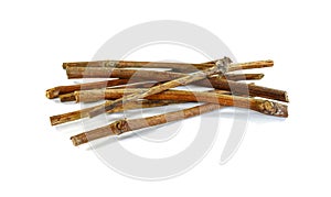 Dry vine tree branches isolated